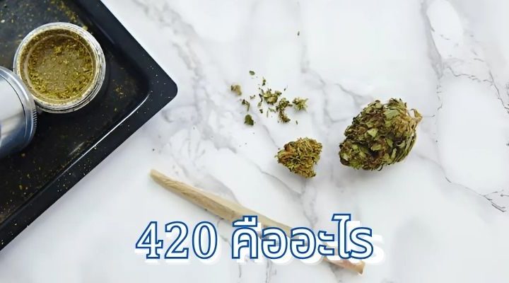 420 คืออะไร: ความหมายและความเกี่ยวข้องกับชีวิตประจำวัน