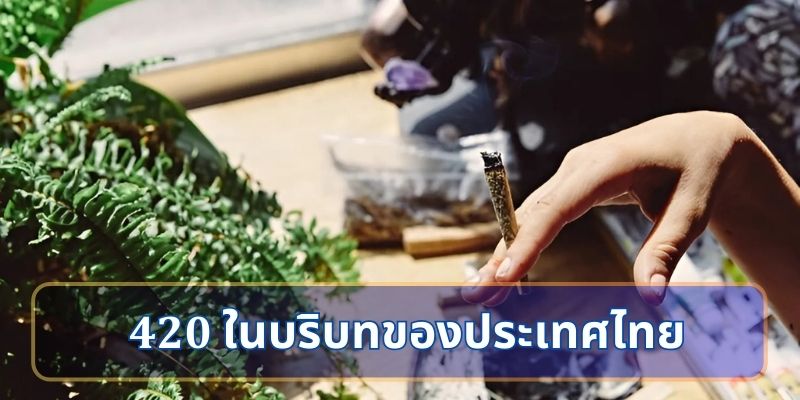 420 ในบริบทของประเทศไทย