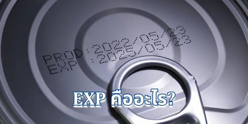 EXP คืออะไร: ความหมายและบทบาทในชีวิตประจำวัน