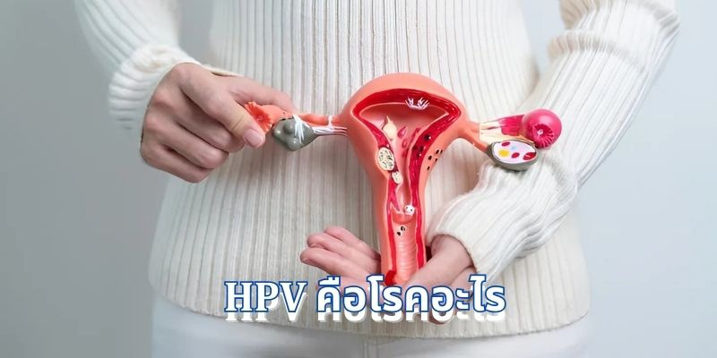 HPV คือโรคอะไร: ทุกสิ่งที่คุณต้องรู้เกี่ยวกับไวรัส HPV