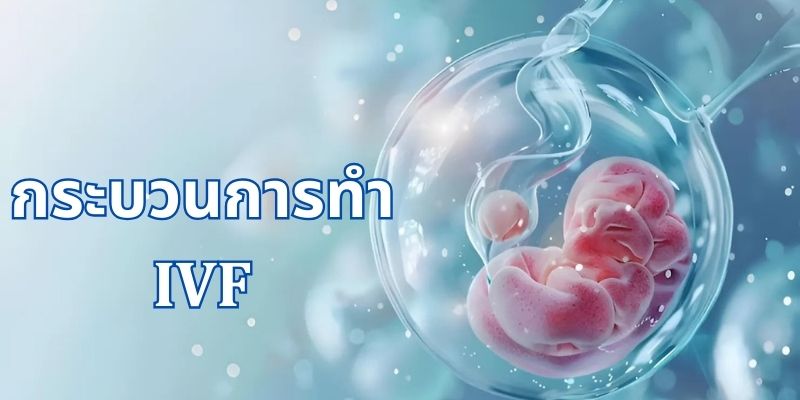 กระบวนการทำ IVF มีขั้นตอนอย่างไร?