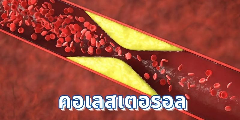 คอเลสเตอรอลคืออะไร? ความสำคัญต่อชีวิตประจำวัน