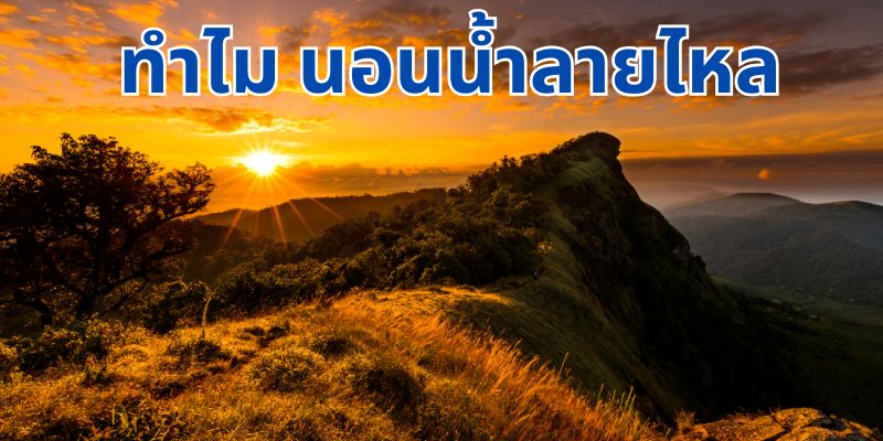 ดอยม่อนจอง: สวรรค์แห่งการท่องเที่ยวบนยอดเขาในประเทศไทย