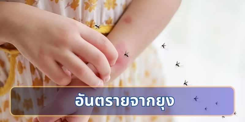 อันตรายจากยุงที่ไม่ควรมองข้าม