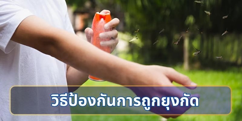 วิธีป้องกันยุงกัด