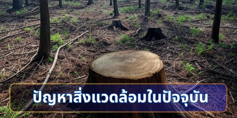 ปัญหาสิ่งแวดล้อมในปัจจุบัน