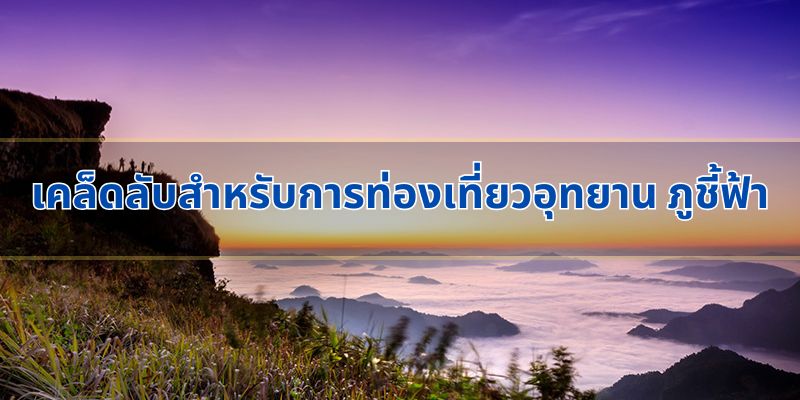 เคล็ดลับสำหรับการท่องเที่ยวอุทยาน ภูชี้ฟ้า