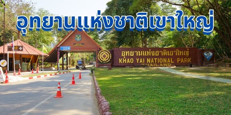 อุทยานแห่งชาติเขาใหญ่: สวรรค์แห่งธรรมชาติของประเทศไทย