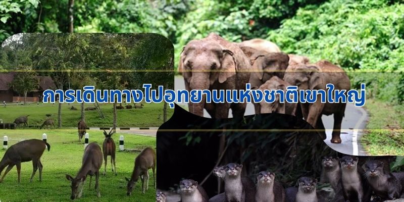 Những hoạt động thú vị tại Vườn quốc gia Khao Yai