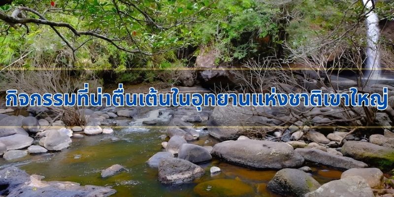 Những hoạt động thú vị tại Vườn quốc gia Khao Yai