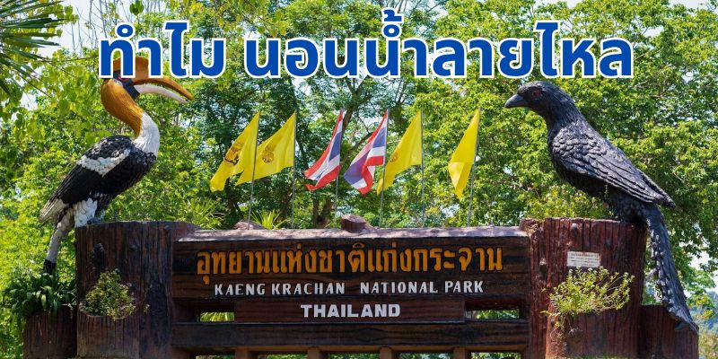 อุทยานแห่งชาติแก่งกระจาน: สวรรค์แห่งธรรมชาติที่ต้องไปเยือน