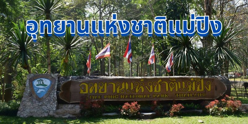 อุทยานแห่งชาติแม่ปิง: สวรรค์แห่งธรรมชาติที่รอคุณมาสัมผัส