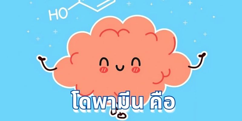 โดพามีน คือ? วิธีเพิ่ม “ฮอร์โมนแห่งความสุข” โดปามีน