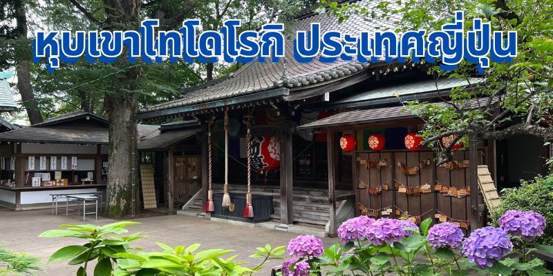 โทโดโรกิ – เสน่ห์แห่งหุบเขาโทโดโรกิ โตเกียว ประเทศญี่ปุ่น