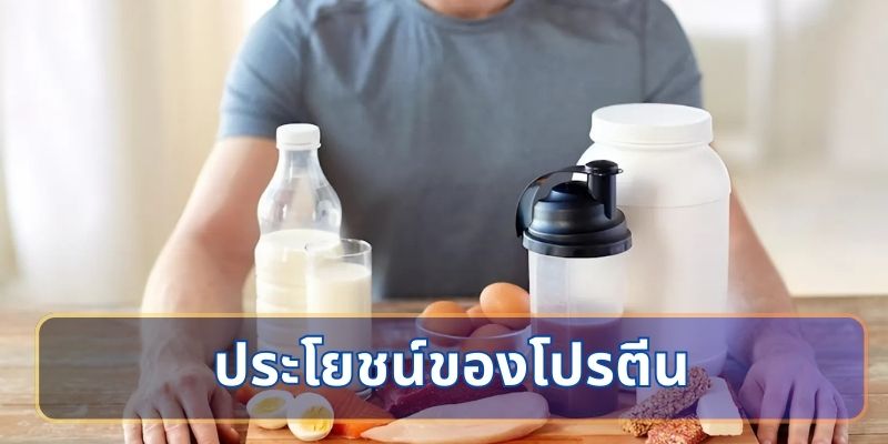 ปริมาณโปรตีนที่ร่างกายต้องการ