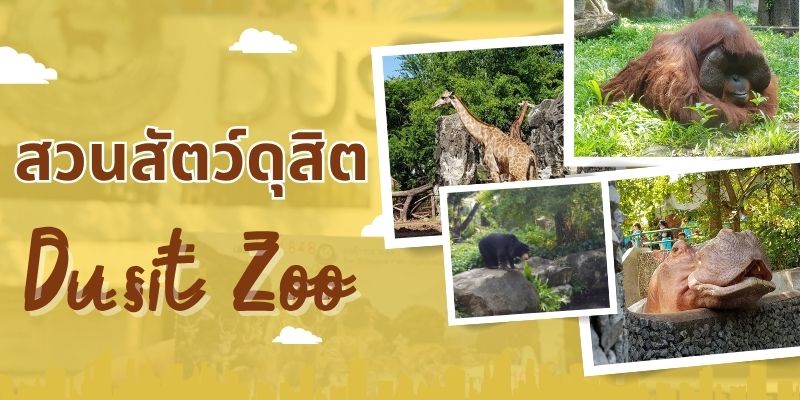 สวนสัตว์ดุสิต: ย้อนรอยประวัติศาสตร์และความทรงจำของกรุงเทพฯ