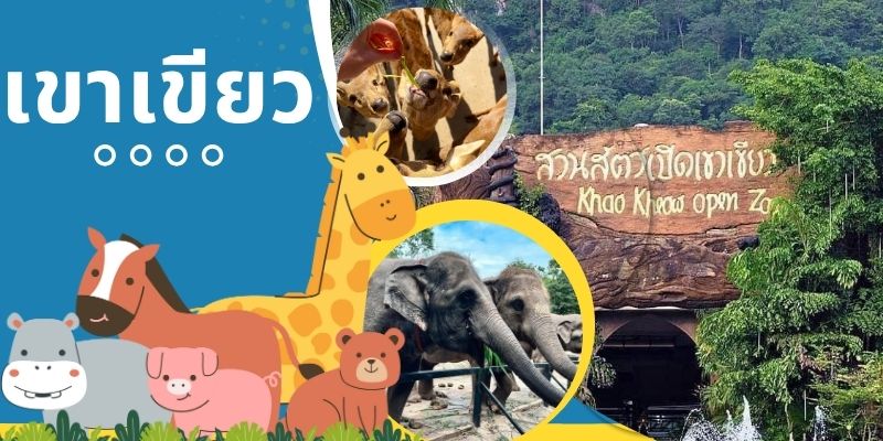 เขาเขียว: สวรรค์แห่งการท่องเที่ยวเชิงนิเวศใกล้กรุงเทพฯ