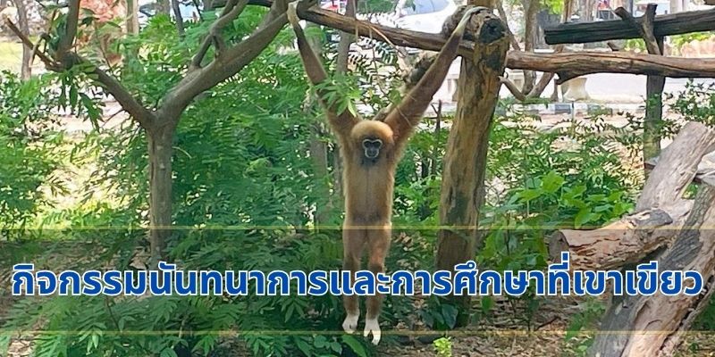 กิจกรรมนันทนาการและการศึกษาที่เขาเขียว