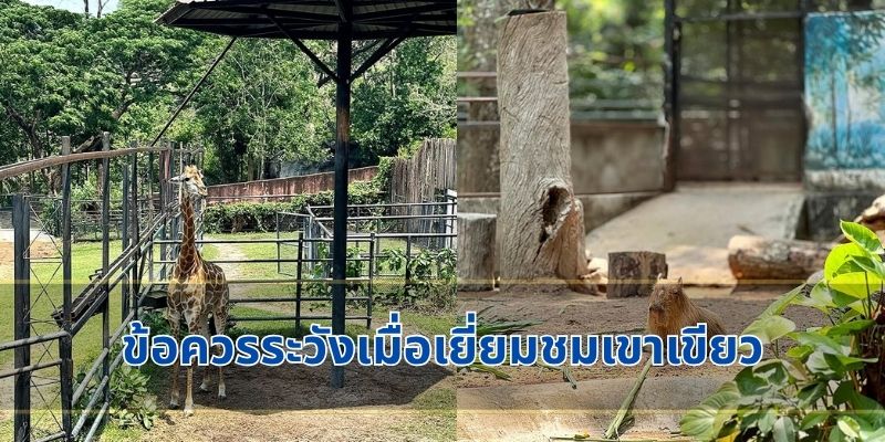 ข้อควรระวังเมื่อเยี่ยมชมเขาเขียว