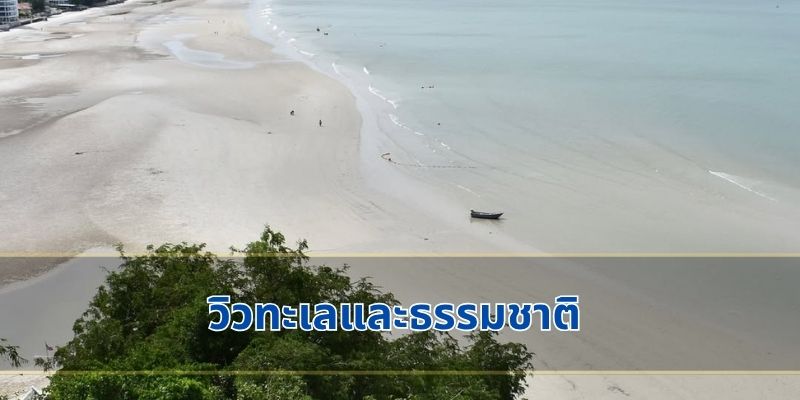 วิวทะเลและธรรมชาติ