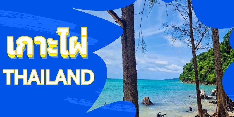 สำรวจเกาะไผ่ (Koh Phai) – อัญมณีแห่งธรรมชาติใกล้พัทยา