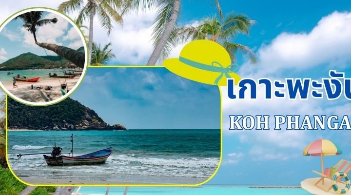 สำรวจความงามอันเป็นเอกลักษณ์และวัฒนธรรมของเกาะพะงัน