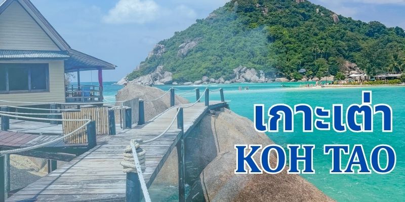 เกาะเต่า: สวรรค์แห่งการดำน้ำและรีสอร์ทสุดยิ่งใหญ่ในไทย