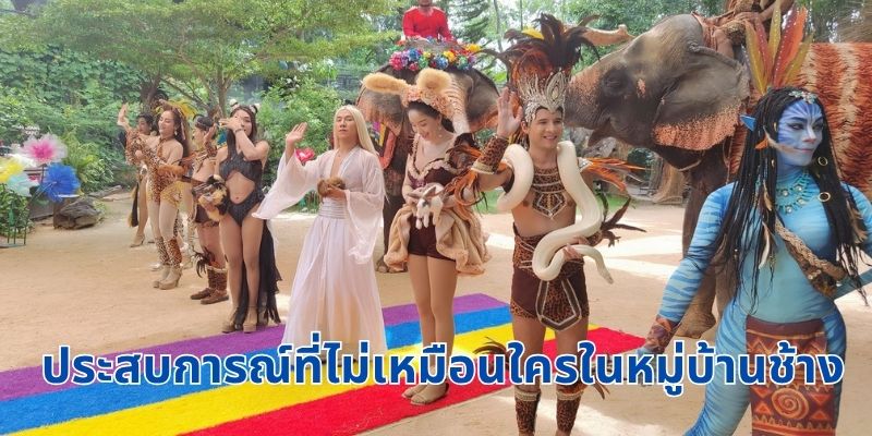 ประสบการณ์ที่ไม่เหมือนใครในหมู่บ้านช้าง