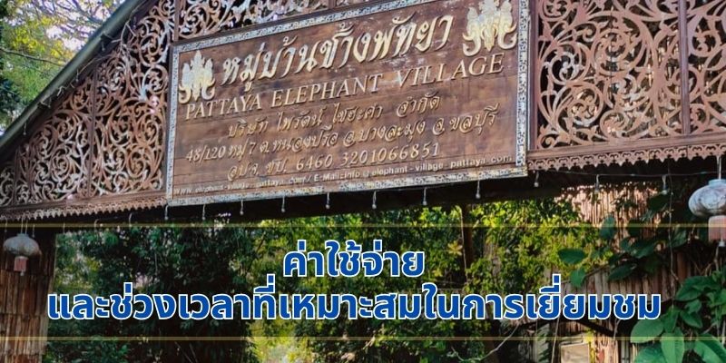 ค่าใช้จ่ายและช่วงเวลาที่เหมาะสมในการเยี่ยมชม