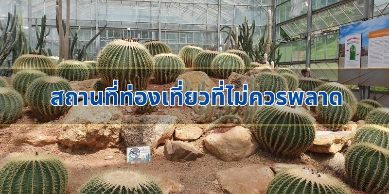สถานที่ท่องเที่ยวที่ไม่ควรพลาด