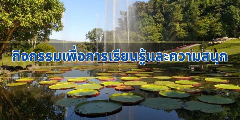 กิจกรรมเพื่อการเรียนรู้และความสนุก