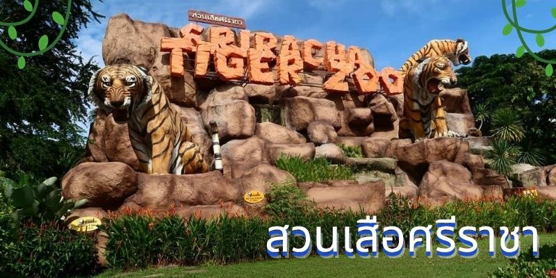 สวนเสือศรีราชา: เปิดโลกสัตว์น่าตื่นตาตื่นใจสำหรับทุกคน