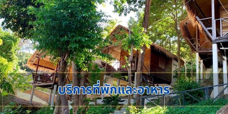 บริการที่พักและอาหาร