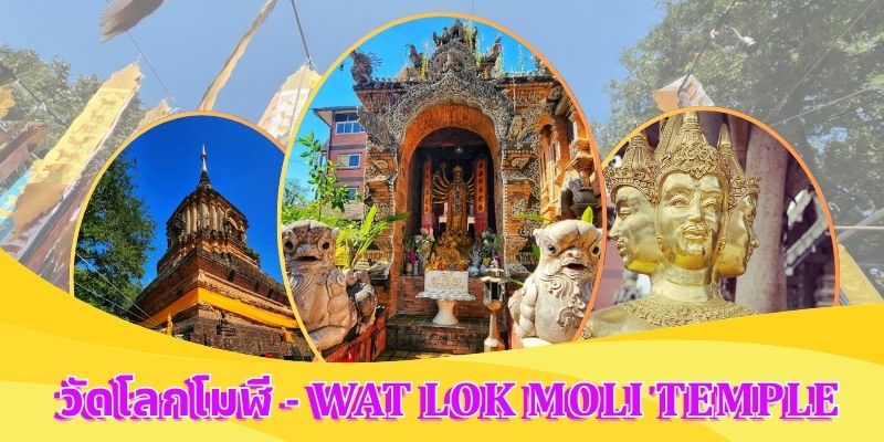 สำรวจ วัดโลกโมฬี อัญมณีโบราณใจกลางเชียงใหม่ ประเทศไทย