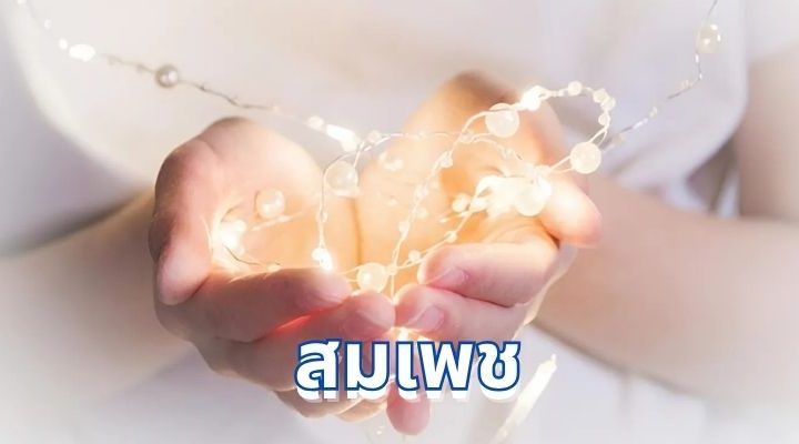 คำจำกัดความของ “สมเพช”: ความเมตตาในภาษาไทย