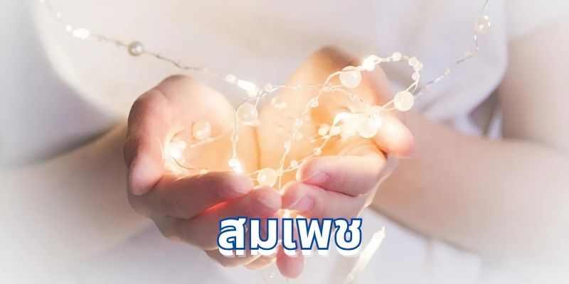 คำจำกัดความของ “สมเพช”: ความเมตตาในภาษาไทย