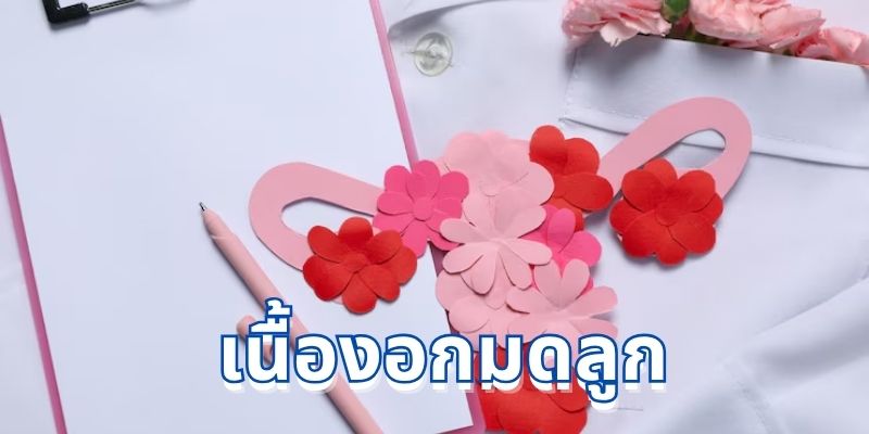 เนื้องอกมดลูก: สาเหตุ อาการ และวิธีการรักษา