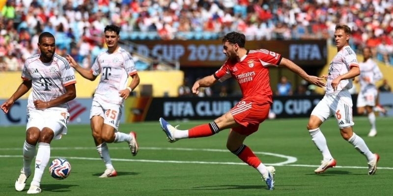 จุดเด่นและแนวโน้มปัจจุบันของ Benfica