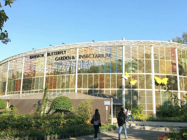 อุทยานผีเสื้อและแมลง กรุงเทพฯ – Bangkok Butterfly Garden and Insectarium
