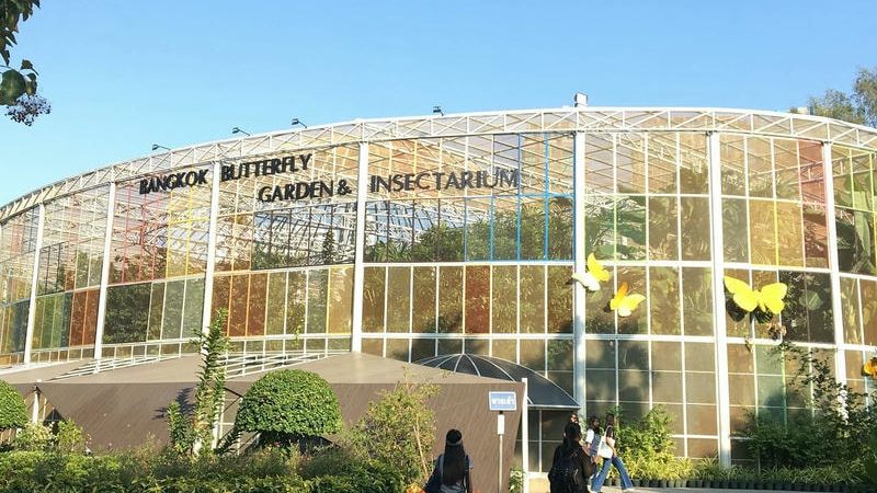 อุทยานผีเสื้อและแมลง กรุงเทพฯ – Bangkok Butterfly Garden and Insectarium