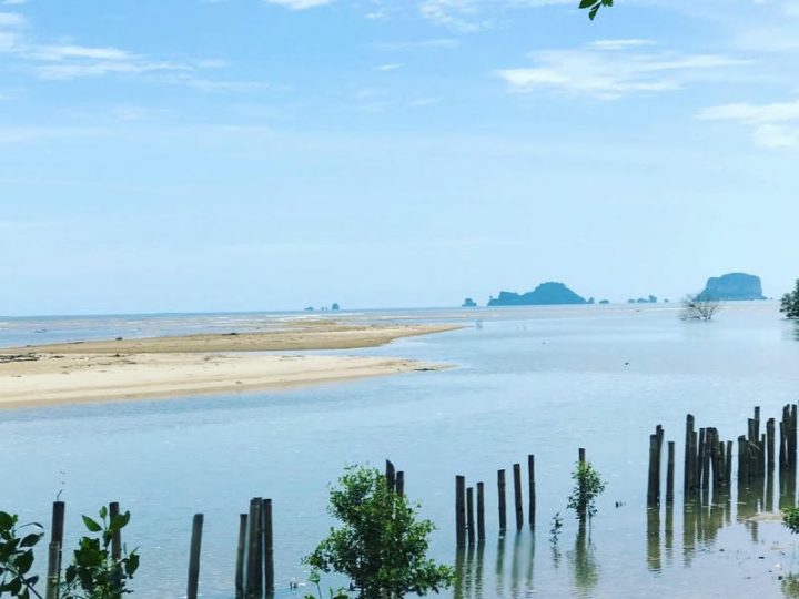 เกาะกลาง (Ko Klang) – ความลับแห่งธรรมชาติที่ยังไม่ถูกเปิดเผย