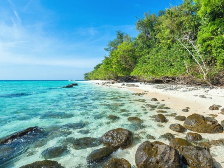 เกาะรอก (Koh Rok Island): สวรรค์ของคนรักทะเลและธรรมชาติ