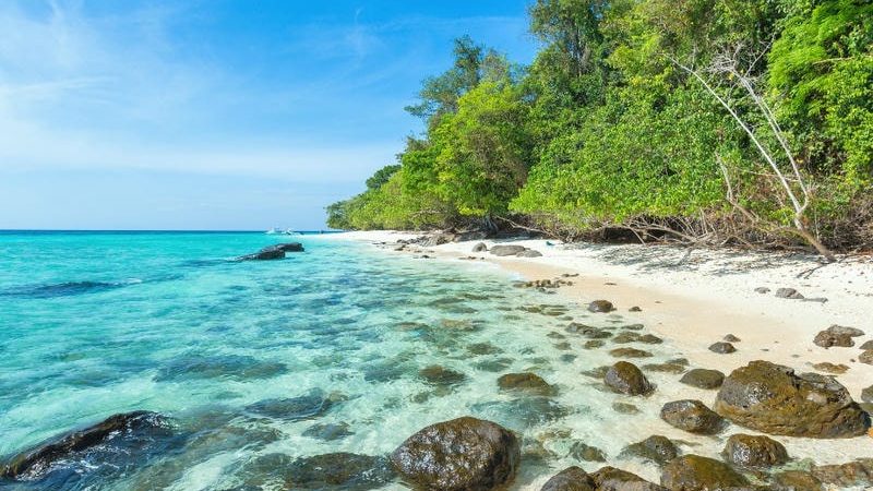 เกาะรอก (Koh Rok Island): สวรรค์ของคนรักทะเลและธรรมชาติ