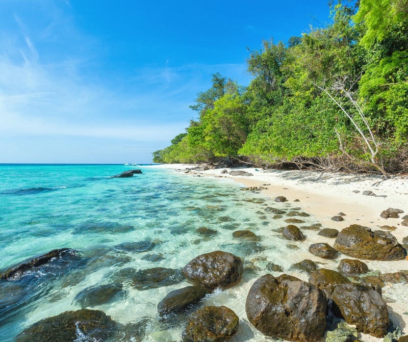 เกาะรอก (Koh Rok Island): สวรรค์ของคนรักทะเลและธรรมชาติ