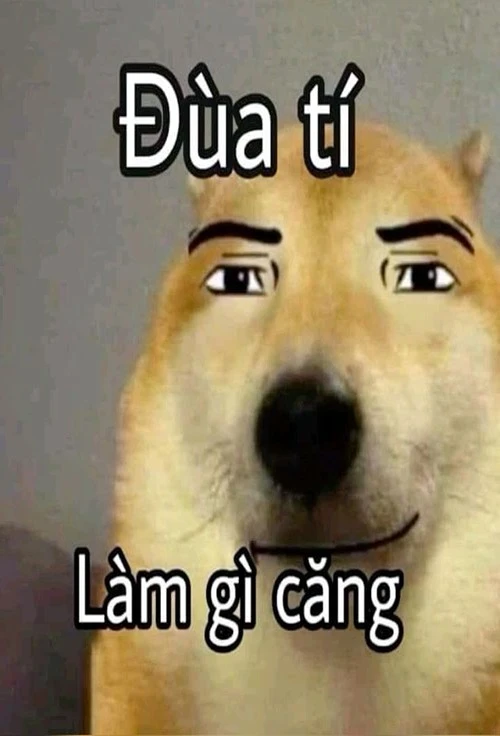 ảnh bựa hài
