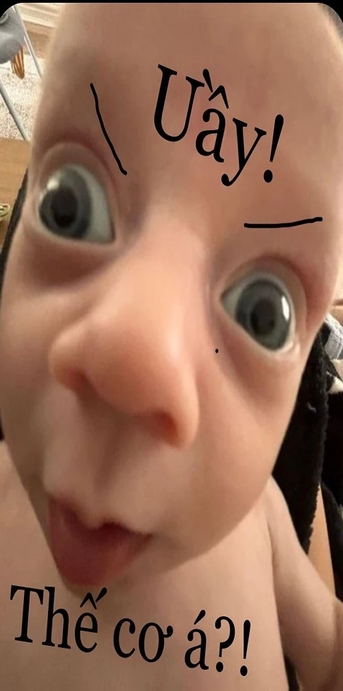 ảnh bựa meme
