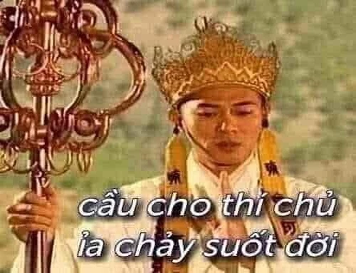 ảnh bựa
