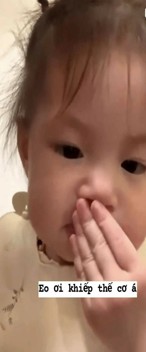 ảnh mèo bựa cute