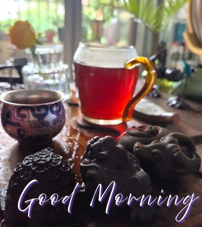 beautiful good morning images