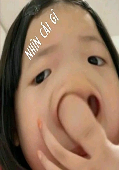 funny stupid pictures